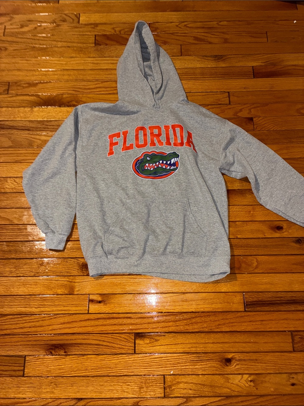 Florida Gators Gray Hooded Sweatshirt with Team Logo